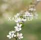 Дом посуточно в Киеве. с. Крюковщина, ул. Парниковая, 5 &mdash; 1001723030 изображение 33