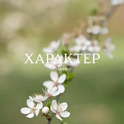 Все квартиры пользователя изображение 1