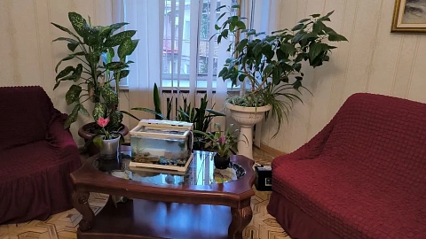 Хостел подобово у Одесі. Приморський район, вул. Канатна, 65 &mdash; 1001724176 зображення 7
