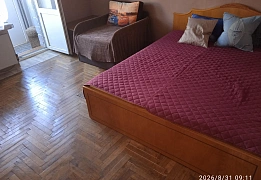 Apartments for daily rent in Truskavets near waters' pump-room "Naftusja" (41)