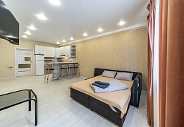 Apartments for daily rent in Kyiv (235)