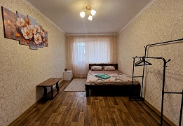 Квартиры посуточно в Новозаводском районе (30)