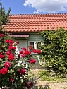 Комната посуточно в Берегово. ул. Мукачевская, 63 &mdash; 1001728127 изображение 20