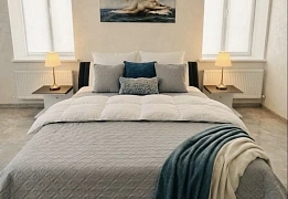 Apartments for daily rent in Khmelnytskyi near T.G. Shevchenko Cinema (36)