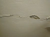 Reviews image 3