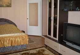 1-room apartment daily rent in White Church (4)