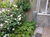 2-комнатная daily in Odesa. Peresypskiy district, Luzanovskaya St., 98 &mdash; 1000685547 image 37