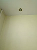 Reviews image 2