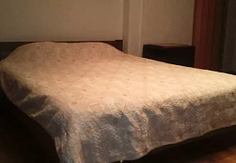 Квартиры посуточно в Приморском районе (74)