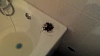 Reviews image 7