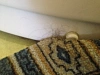 Reviews image 1