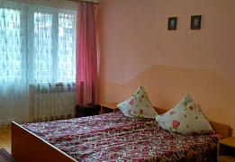 Apartments for daily rent in Truskavets (15)