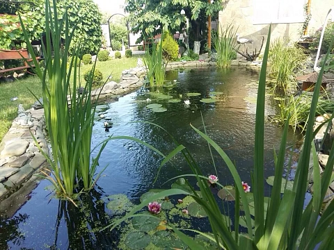 Будинок подобово у Черкасах. с. Сагунівка, 11 &mdash; 1000951741 зображення 5