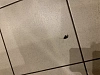 Reviews image 1
