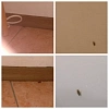 Reviews image 1