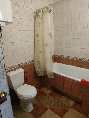 Дом посуточно в Фонтанке, ул. Патриотическая, 40