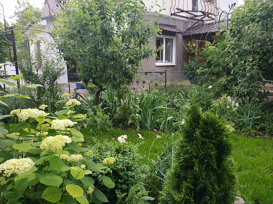 Дом посуточно в Фонтанке, ул. Патриотическая, 40